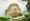 استفاده از آبنما در طراحی باغ و خانه